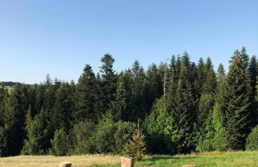 Czarne Jodły - Foto 15
