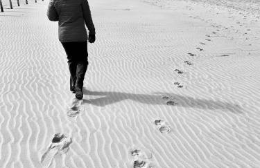 Creative Art Cabin, Causeway Coast, beach 10 mins - Foto 19