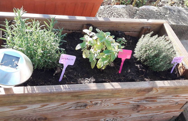 La Maison de Noélie - rez de jardin - Foto 20