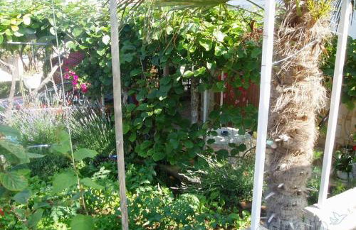 Kiwi apartments - Photo 78