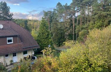 Franziska's Ferienwohnung - Die Unterkunft in ruhiger Lage direkt am Wald - Foto 36