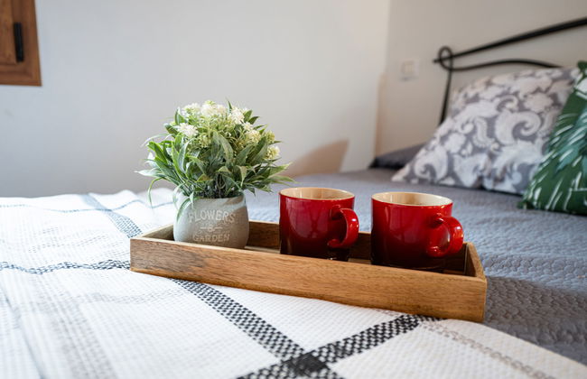 Eucalipto - Photo 18