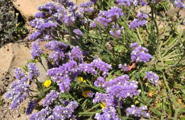 Playa Serena Zen - Foto 29