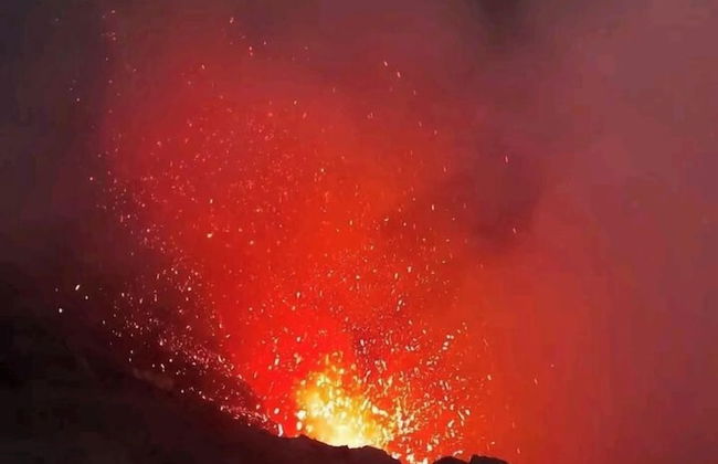 Glowing view tree house and Bangalow - Foto 21