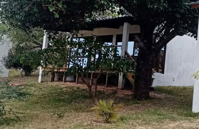 Restaurante Calor Tropical - Photo 17