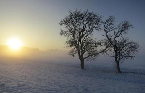 Ferienhaus Taubenhof - Foto 10