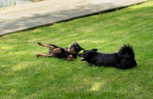 PRZYSTANEK DŁUŻEK - Photo 33