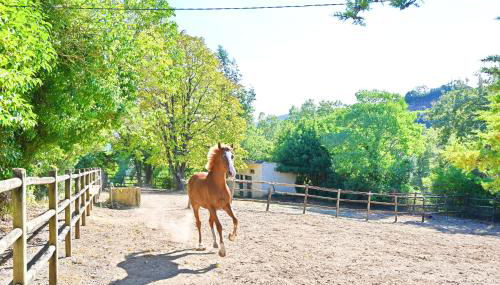 Quinta do Boição - Foto 3