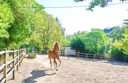 Quinta do Boição - Foto 3