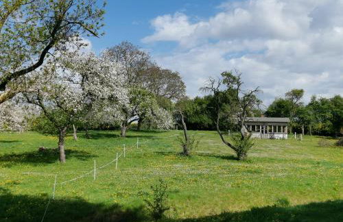 Gutshaus Thorstorf FeWo Boltenhagen EG und Tiefpaterre - Foto 17