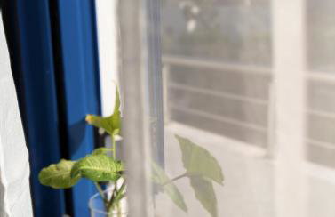 Blue White House - Foto 7