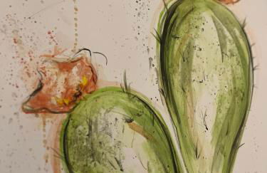 Poggio Roseto - Foto 50