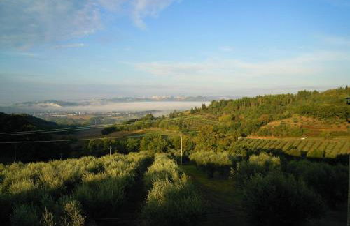 Agriturismo La Ginestrella - Foto 8