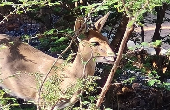 The Dreamcatcher Lodge - Photo 50