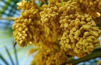 - Zuhause im Weilerblick - - Foto 10