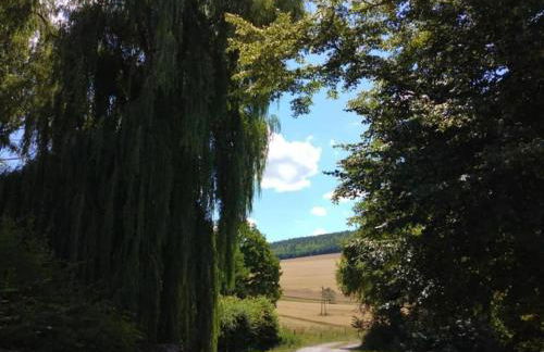 Ferienhaus, Schontal-winzenhofenn - Foto 78