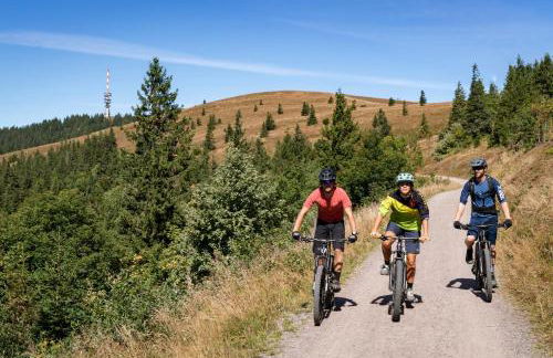 Ferienwohnung Passhöhe - Familien- Wander- und Skiurlaub - Hochschwarzwaldcard - Haus Wiesenquelle - Photo 38