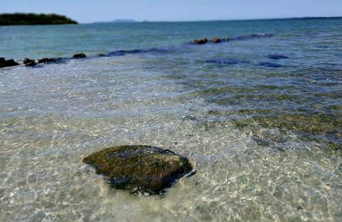 Costa&CunhaIpê104 - Foto 29