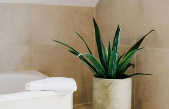 Küsten Suite de See - Suite 2 direkte Deichlage, Balkon, 77qm - Foto 13