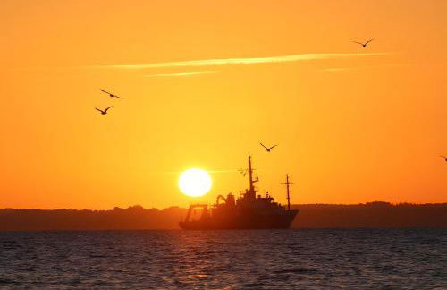 Ferienwohnung Gretchen - Photo 41