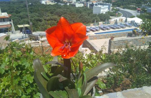 Kavousanos Apartments - Foto 49