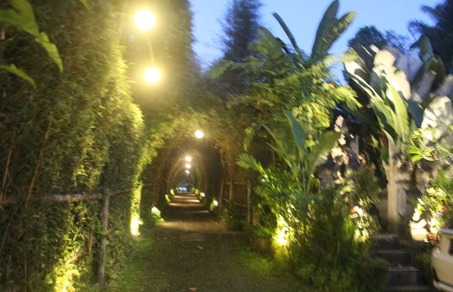 Prayatna Villas - Photo 74