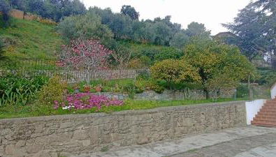 Casa IL GLICINE - Photo 3