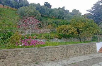 Casa IL GLICINE - Photo 3