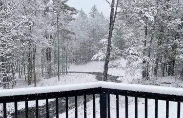 Serene Retreat on a Stream - Photo 5