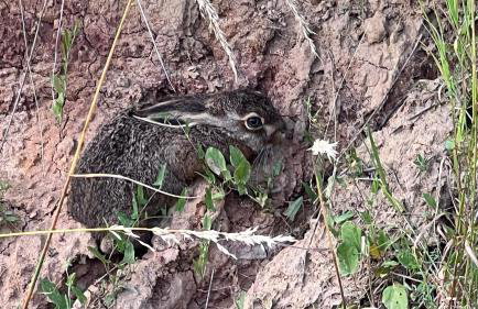 W Kręgu Natury - Foto 54