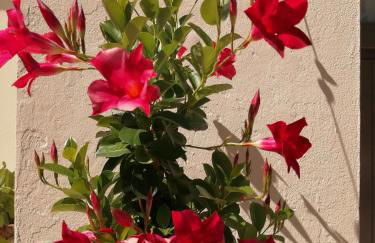 Camping La Loire Fleurie - Foto 9