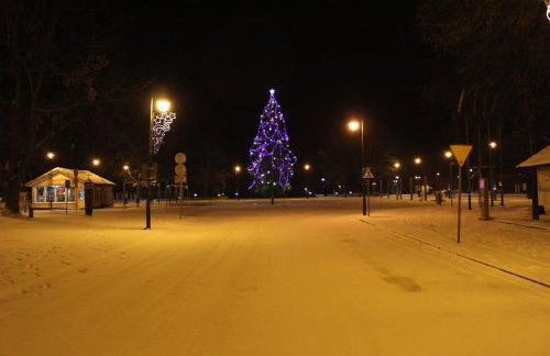 Apartamenty pod Wiciokrzewem - Foto 55