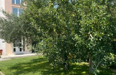 Apartments Brčić - Photo 13