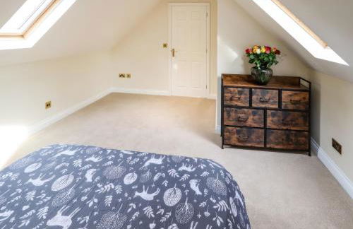 Paws In The Pines - Foto 14