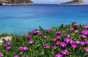 Serenity Villa-Ground floor-Sea view- sea 150m away - Foto 64