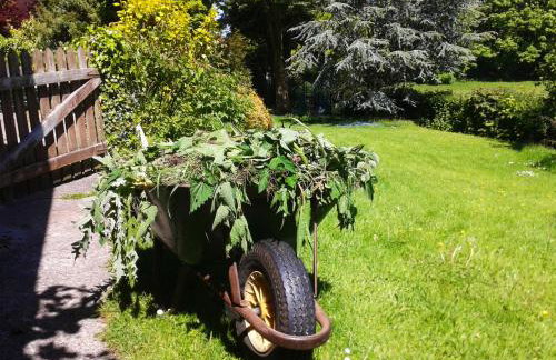 Saint Pancras Chapel - Foto 51