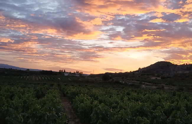 Casa Rural Osante - Photo 11