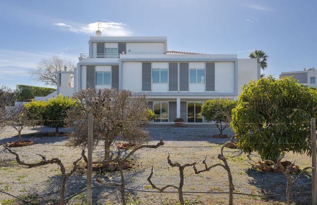 Almond Tree - Foto 30