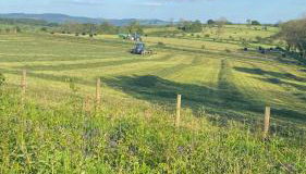 Blaenplwyf Shire Pods - Foto 2