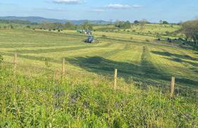 Blaenplwyf Shire Pods - Foto 2