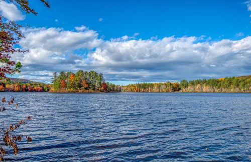 The Bear's Den - Foto 57