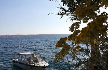 Apartman JURJEVIĆ - Photo 13