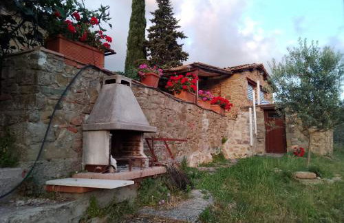 Terrazza sul Chianti - Photo 8