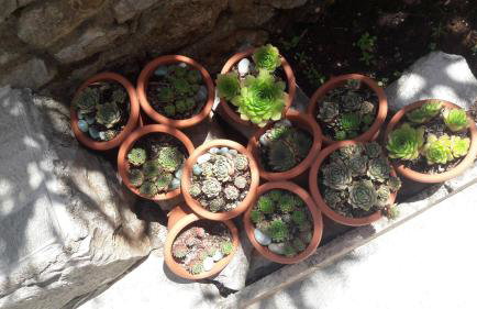 apartman-maja-krk - Foto 47