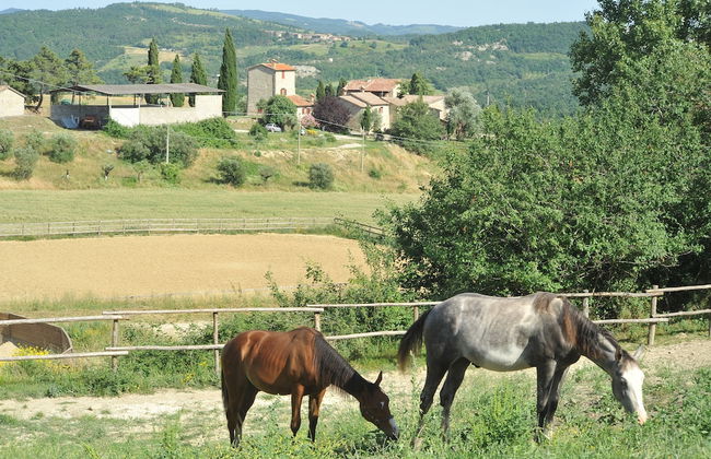 Country House Santa Felicita la Paterna - Foto 41