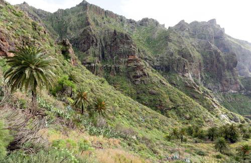 Live masca casatarucho - Foto 16