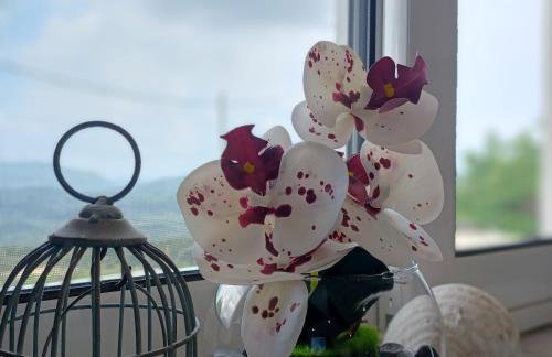 Zoggos Apartment - Foto 11