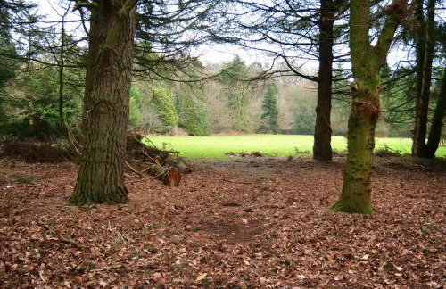 Beautiful cottage in Brentwood - Foto 47