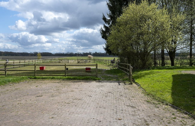 Holiday Home with Meadow View near Forests - Photo 33