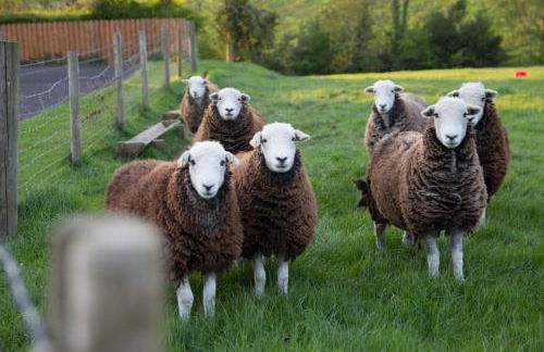 Roe Valley Cottage - LA Spa Hot Tub - Foto 7